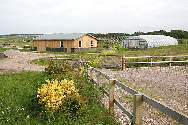 Photo 6"x4" New Development at Coltfield Coltfield c2010