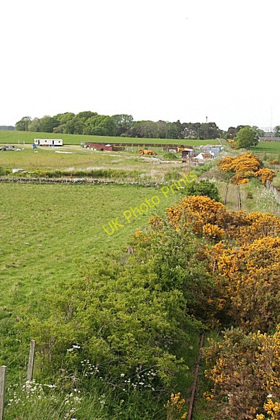Photo 6"x4" Railway to Burghead Coltfield c2010