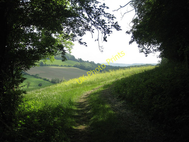 Photo 6"x4" Exit from Busland Wood Woolhope\/SO6135 c2010