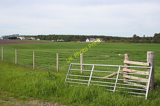 Photo 6"x4" Looking towards Easterton Alves c2010