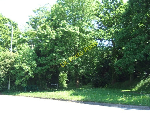 Photo 6"x4" Beggars Lane, Honiton Honiton\/ST1600 c2010