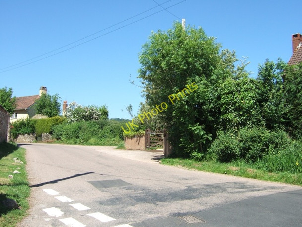 Photo 6"x4" Weston Lane, Weston Honiton\/ST1600 c2010