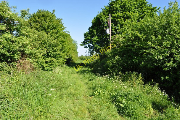 Photo 6"x4" Trackbed to Great Ryburgh Great Ryburgh c2010