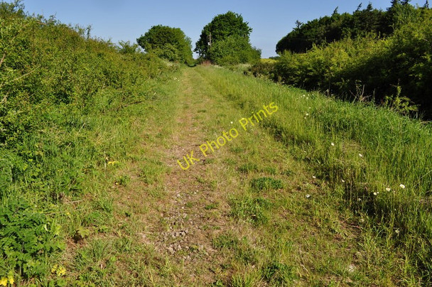 Photo 6"x4" Track to Great Ryburgh Gateley c2010