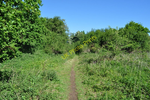 Photo 6"x4" Trackbed Walk to Great Ryburgh Great Ryburgh c2010