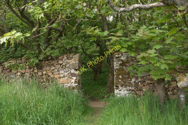 Photo 6"x4" Entrance to Halligarth plantation Baltasound c2010