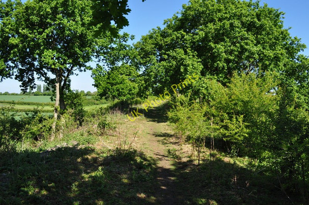 Photo 6"x4" Small embankment nearing Great Ryburgh Great Ryburgh c2010