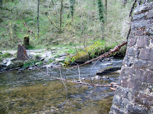 Photo 6"x4" Tree catcher, River Barle Hawkridge c2010