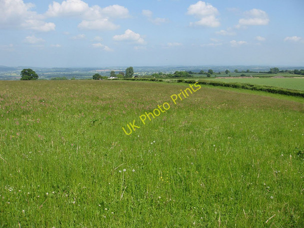 Photo 6"x4" View from Ridge Hill Bodenham Bank c2010