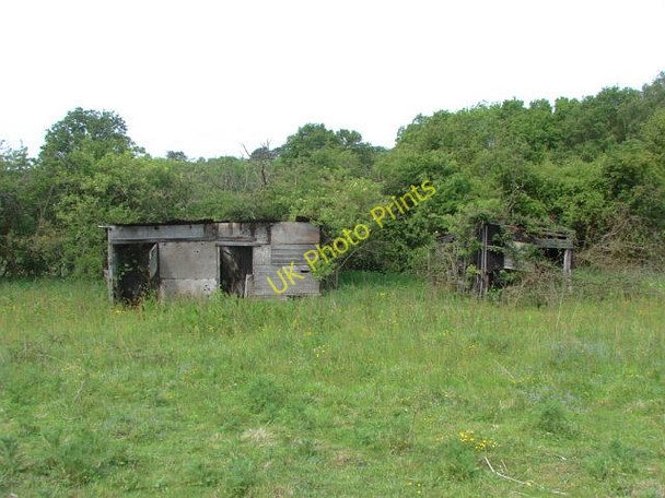 Photo 6"x4" Saunders Lane Meadows, Mayford Woking c2010 P2