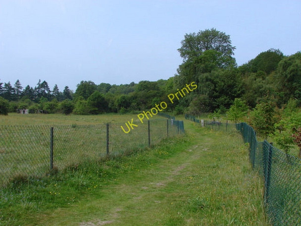 Photo 6"x4" Saunders Lane Meadows, Mayford Woking c2010 P4
