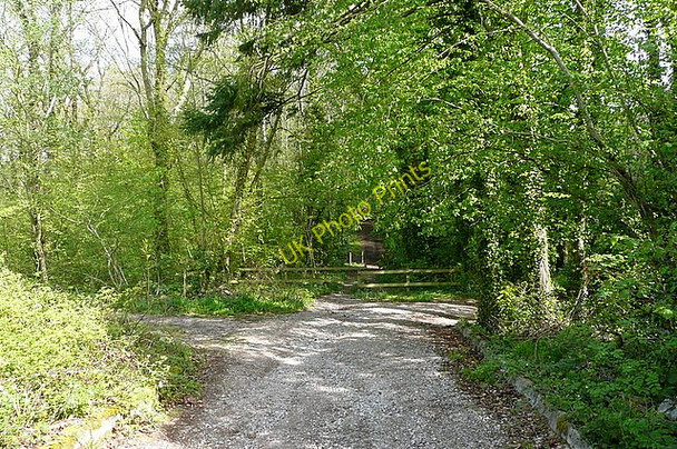 Photo 6"x4" Coastal Path through Fishbourne Fishbourne\/SZ5592 c2010