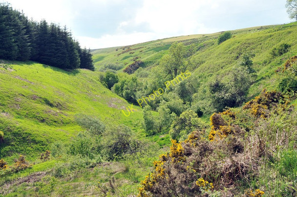Photo 6"x4" Valley of Thorter Burn Dunning c2010