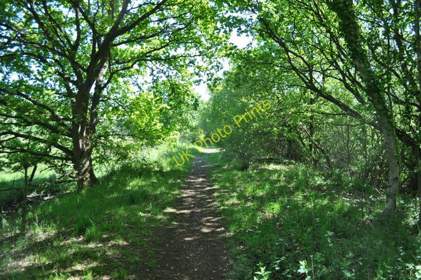 Photo 6"x4" Old M&GN Route Fakenham c2010