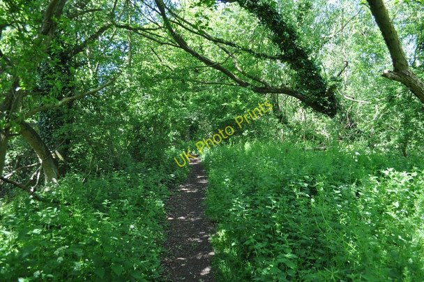 Photo 6"x4" M&GN Line to Fakenham Fakenham c2010