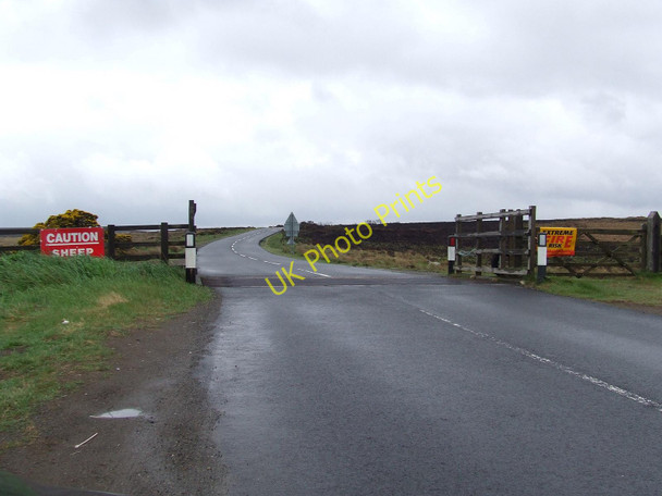 Photo 6"x4" Cattle Grid Gerrick c2010