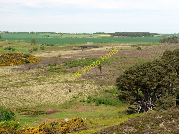 Photo 6"x4" Ford Moss Ford Hill\/NT9537 c2010