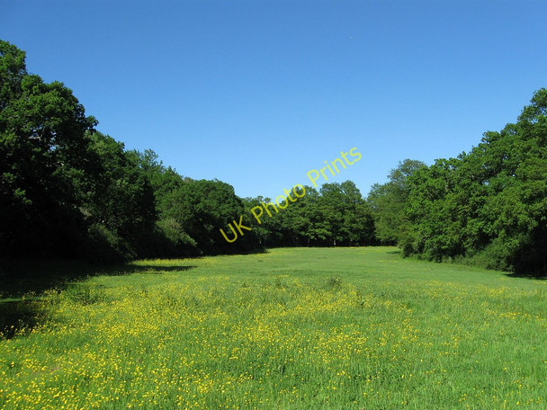 Photo 6"x4" Two Acres Laughton\/TQ5013 c2010