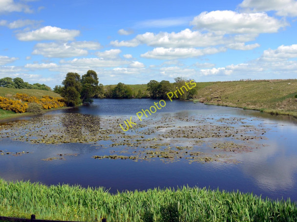 Photo 6"x4" Rothley Lakes Longwitton c2010