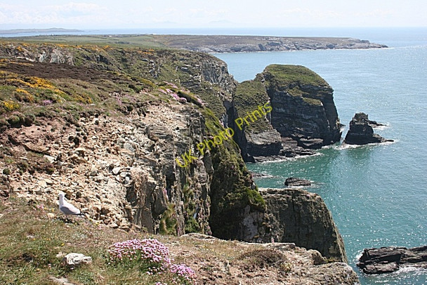 Photo 6"x4" Looking towards Pen-Ias Rock Goferydd c2010