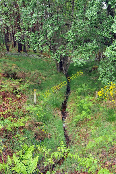 Photo 6"x4" Stream flowing through Arr Wood Littlemill\/NH9150 c2010