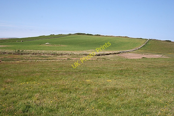 Photo 6"x4" Drumlin at Cemlyn Bay Llanfairynghornwy c2010