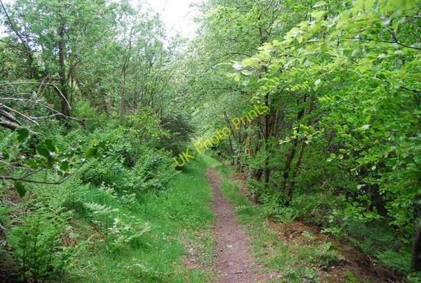 Photo 6"x4" Climbing up to North Head Backleys Fm c2010