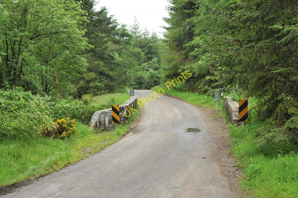 Photo 6"x4" Bridge over a stream in Darnaway Forest Relugas c2010