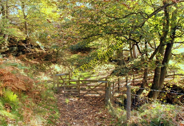 Photo 6"x4" Path junction in Bretton Clough Bretton\/SK2077 c2007