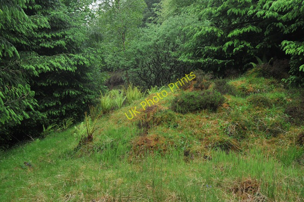 Photo 6"x4" Old landslip over the forest track in Glen Duror Achadh nan Darach c2010