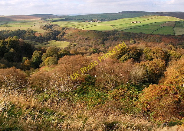 Photo 6"x4" Woodland above Bretton Clough Bretton\/SK2077 c2007