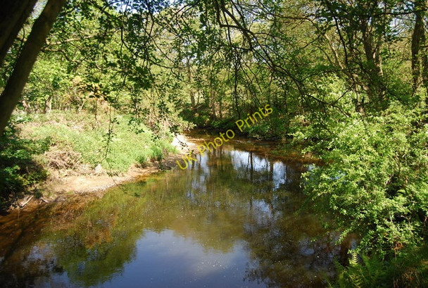 Photo 6"x4" River Derwent south of Hilla Green Silpho c2010