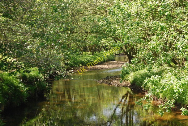 Photo 6"x4" River Derwent Hackness\/SE9790 c2010 P2