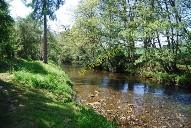 Photo 6"x4" River Derwent: upstream Hackness\/SE9790 c2010