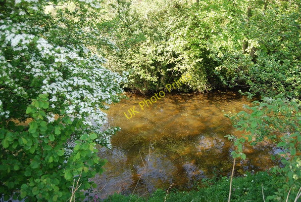 Photo 6"x4" River Derwent near Hackness Hackness\/SE9790 c2010