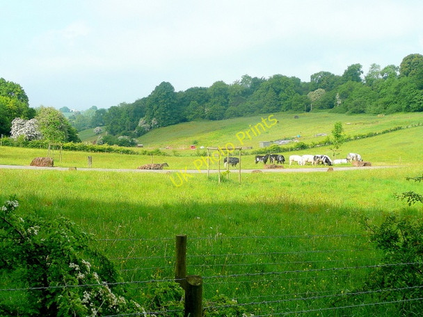 Photo 6"x4" Pastoral scene near Clearwell Clements End c2010