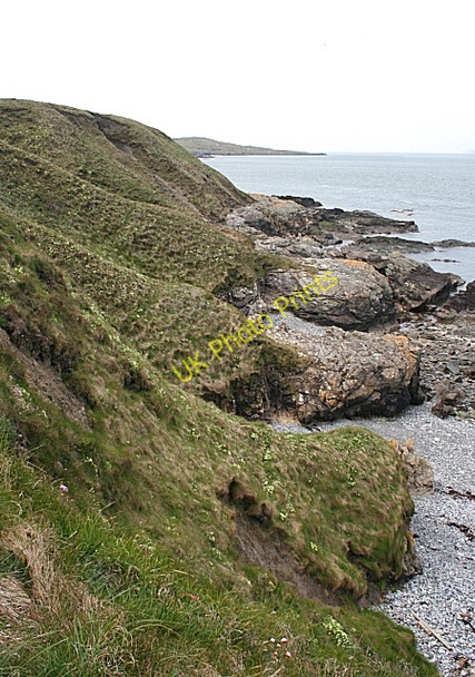 Photo 6"x4" Primrose Cliffs Llanfairynghornwy c2010