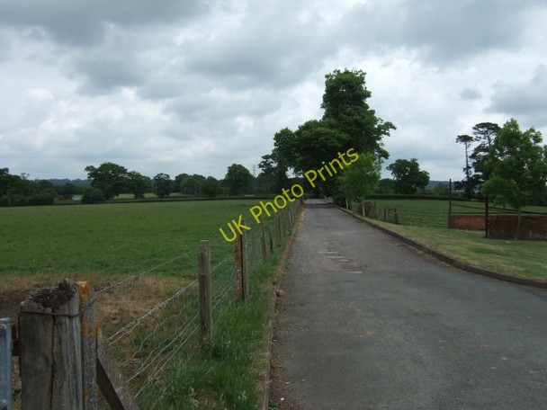 Photo 6"x4" Drive at Grange Cottages, Rockbeare Jack-in-the-Green c2010