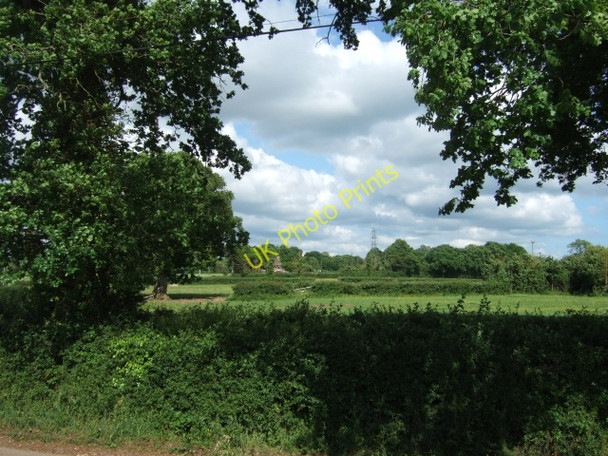 Photo 6"x4" Hedge next to Gribble Lane, and field beyond Hand and Pen c2010