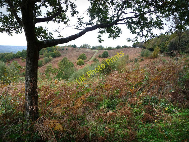 Photo 6"x4" Older Hill Redford\/SU8626 c2009