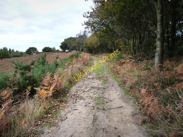 Photo 6"x4" Footpath on Older Hill Redford\/SU8626 c2009