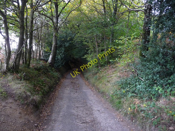 Photo 6"x4" Road on Older Hill Redford\/SU8626 c2009