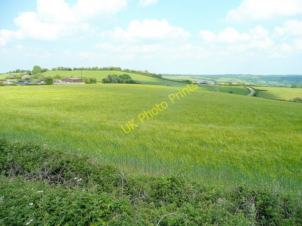 Photo 6"x4" View to Henley Hill Nimlet c2010