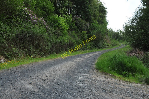 Photo 6"x4" Forest road into Lurignich Plantation Portnacroish c2010