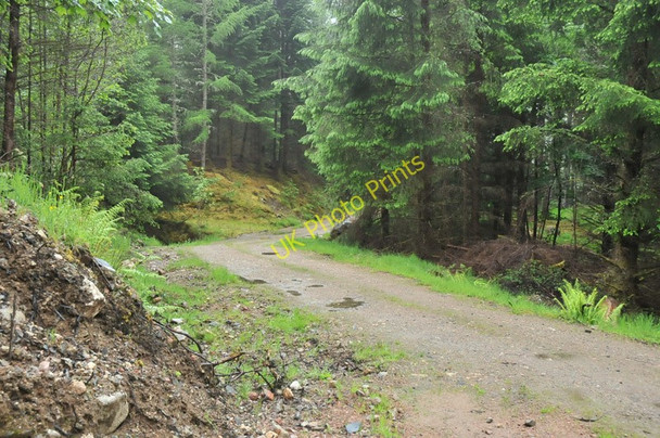 Photo 6"x4" Forestry road in Glen Duror Achadh nan Darach c2010