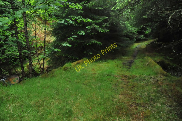 Photo 6"x4" Concrete bridge on the overgrown forest track in Glen Duror Achadh nan Darach c2010