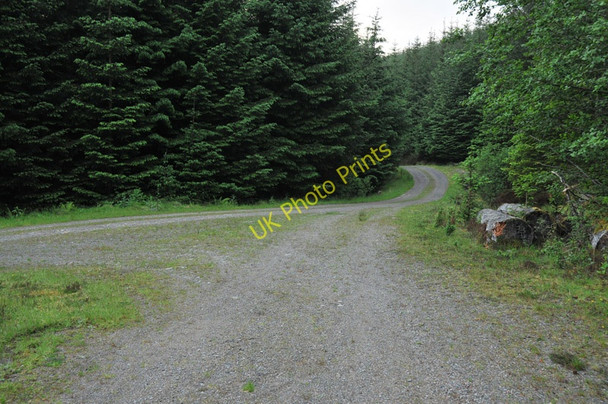 Photo 6"x4" Junction of the forest roads in Glen Duror Achadh nan Darach c2010