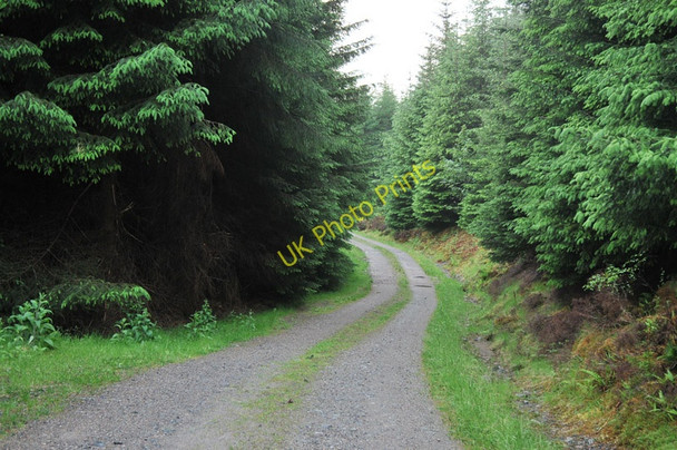 Photo 6"x4" Forest road in Glen Duror Achadh nan Darach c2010