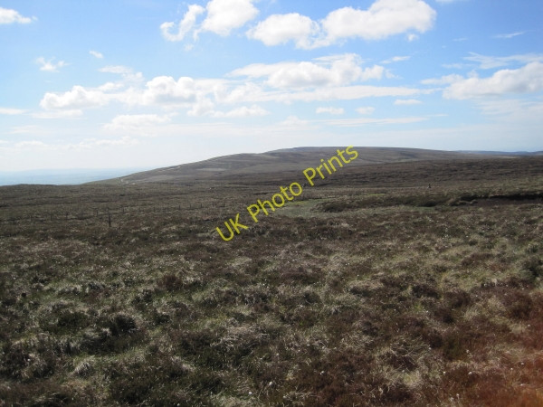 Photo 6"x4" Moorland, Broad Mea Broad Mea c2010