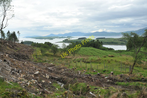 Photo 6"x4" View from Lurignich Plantation to Loch Linnhe and Lismore Portnacroish c2010